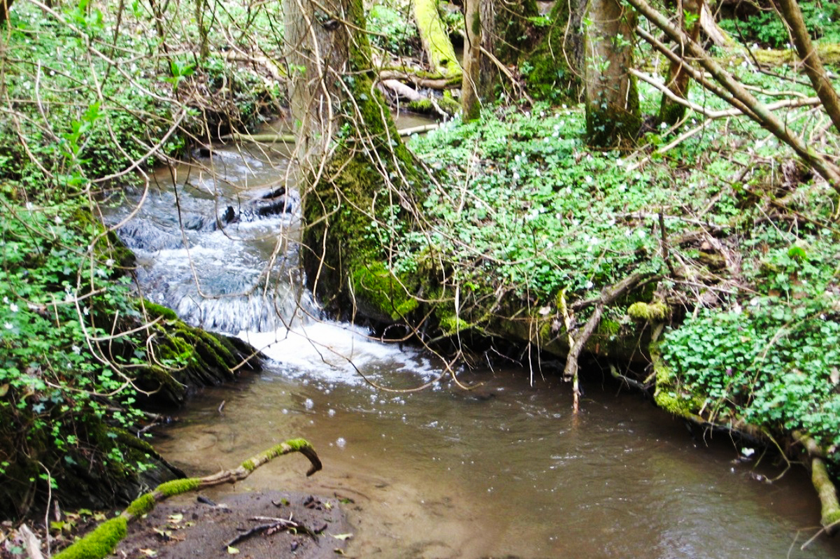 Der Keverbach in Gondorf