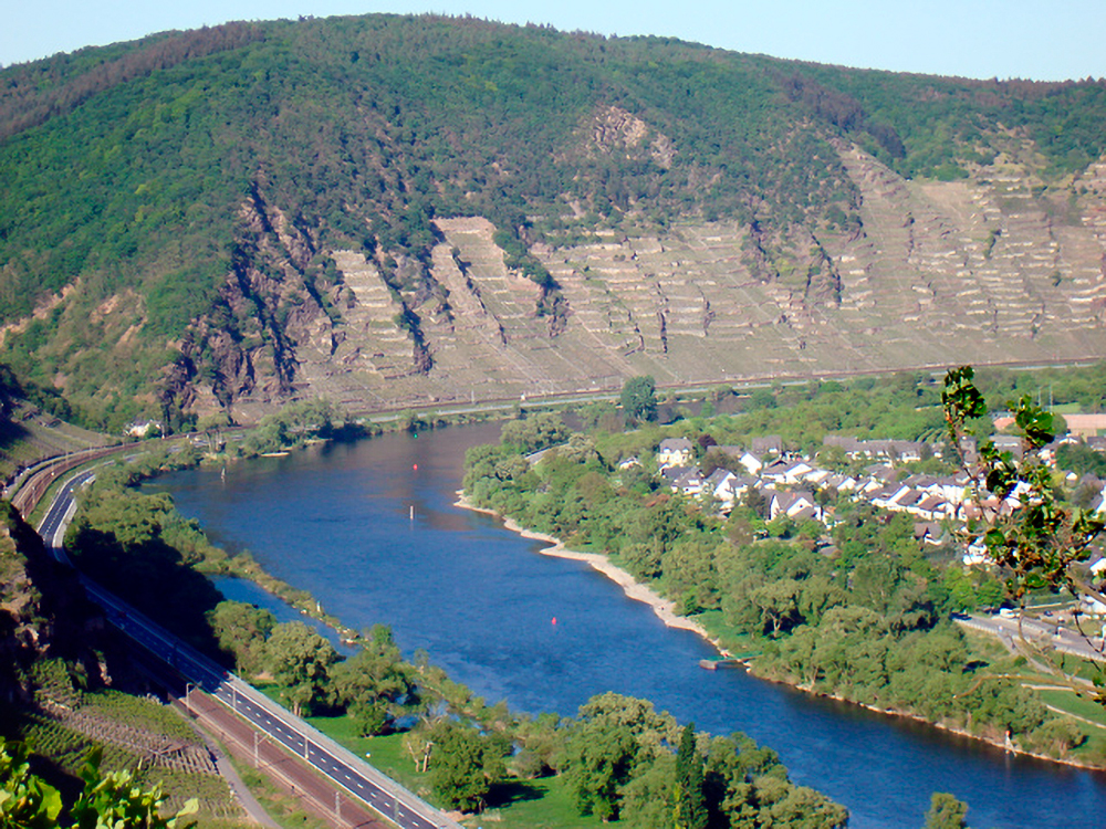 Terrassenweinbau „Uhlen“ Untermosel … bei Kobern