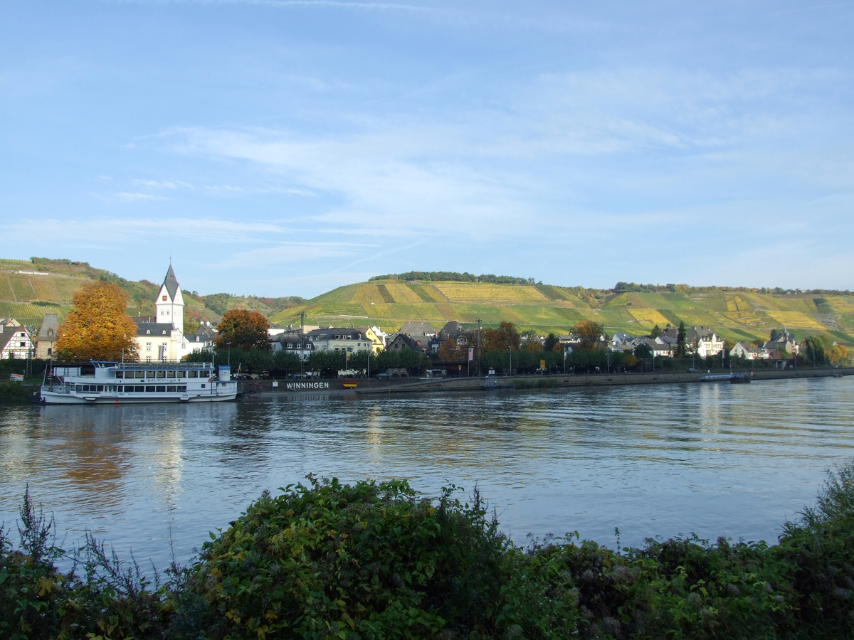 Blick auf Winningen von der gegenüberliegenden Moselseite