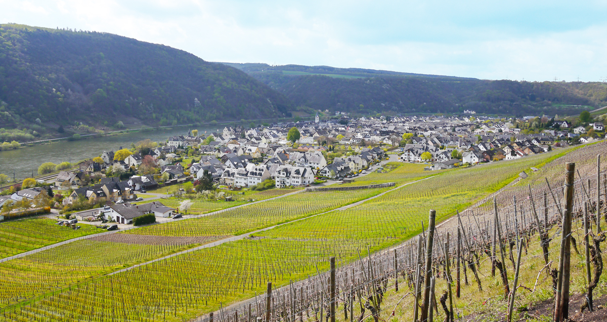Hexenpfad nach Winningen mit Blick auf die Weinberge und Mosel. Foto: Gerhard Haag